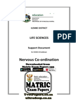 Nervous Co-Ordination: Life Sciences