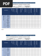 Matriz de Responsabilidades