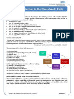 2 Introduction To The Clinical Audit Cycle v4