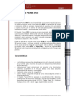 2.5 STRADDLE PACKER SP10 SERIES Data Sheet