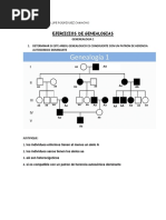 Ejercicios de Genealogia