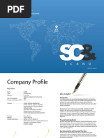 Scand LTD.: Software Consulting and Development