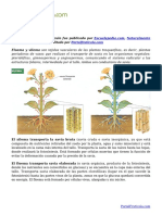 Tarea - Ascenso de La Savia