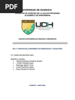 Rol y Función Del Enfermero en Emergencia y Desastres