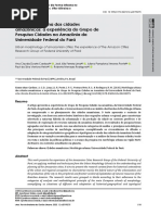 Morfologia Urbana Das Cidades Amazonicas