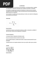 LAS PROTEINAS Exposicion