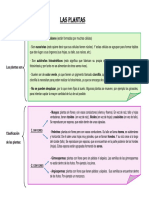 Resumen Las Plantas 1º ESO