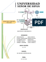 Práctica 11-Digestión de Carbohidrátos