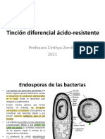 3 - Tincion Diferencial Acido Resistente