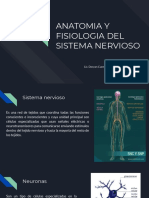 Anatomia y Fisiologia Del Sistema Nervioso