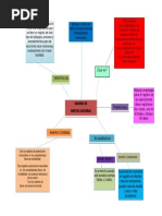 Mapa Mental Registro Cuentas Contables