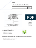 Guia 11 Primeros Basicos Ciencias Naturales