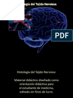 Tejido Nervioso (3) Lab Histo Pidief