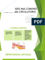 Enfermedades Mas Comunes Del Sistema Circulatorio