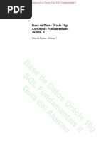 Base de Datos Oracle 10g Conceptos Fundamentales de SQL II