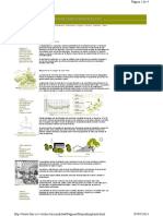 Manual Arquitectura Bioclimatica - Implantacion