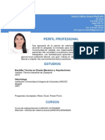 Perfil Profesional: Cursos