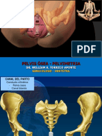 Pelvis - Pelvimetria