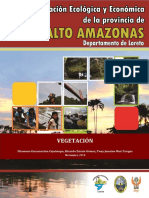 07 - Vegetacion-Alto Amazonas