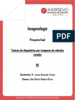 Proyecto Final, Imagenología.