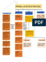 Mapa Conceptual Cap 48 Luisa Aduvir