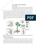 Capítulo V Libro Aaf 2021