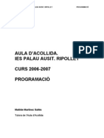 Programació AA IES Palau Ausit 2006-2007