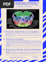 Musculos Del Craneo y de La Expresion Facial