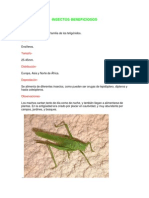 Insectos Beneficiosos