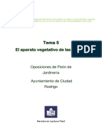 Tema 5. El Aparato Vegetativo de Las Plantas