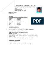 Modelo de Hoja de Vida Curriculum Vitae