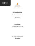 AA2 Calculo Lineal Compensar