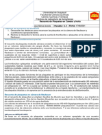 Practica 7 Recuento de Plaquetas en Cámara y Frotis