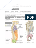 ABDOMEN Transcipcion