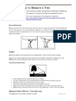 How To Measure A Tree: Circumference