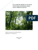 Evaluacion de Las Especies Arbóreas y Estado de Conservación en Tres Sectores Del Pnca