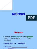 Meiosis 3rd Week