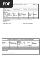 Formato PMI