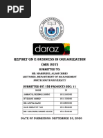 Daraz 8 Project Mis205.11 PDF