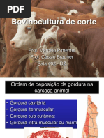 Bovinocultura de Corte Apostila