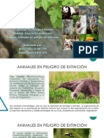 Animales en Peligro de Extincion