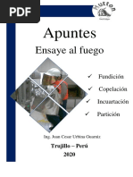 Apuntes Ensaye Al Fuego - Hutton