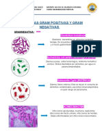 Bacterias Gram Positivas y Gram Negativas