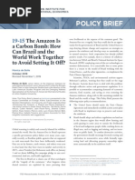 Policy Brief: The Amazon Is A Carbon Bomb: How Can Brazil and The World Work Together To Avoid Setting It Off?