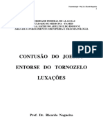 Contusão Do Joelho-Entorse Do Tornozelo-Luxações - 2021