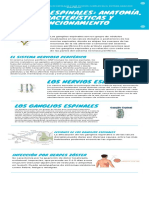 Infografia Ganglios