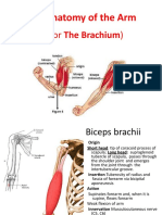 Anatomy of The ARM