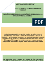 Tema 1 - Principios y Niveles de Organización Vegetal PDF