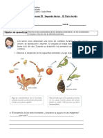 Semana 24 - 2° Básico - Ciencias Naturales - Ciclo de Vida