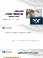  Estimulación Prenatal